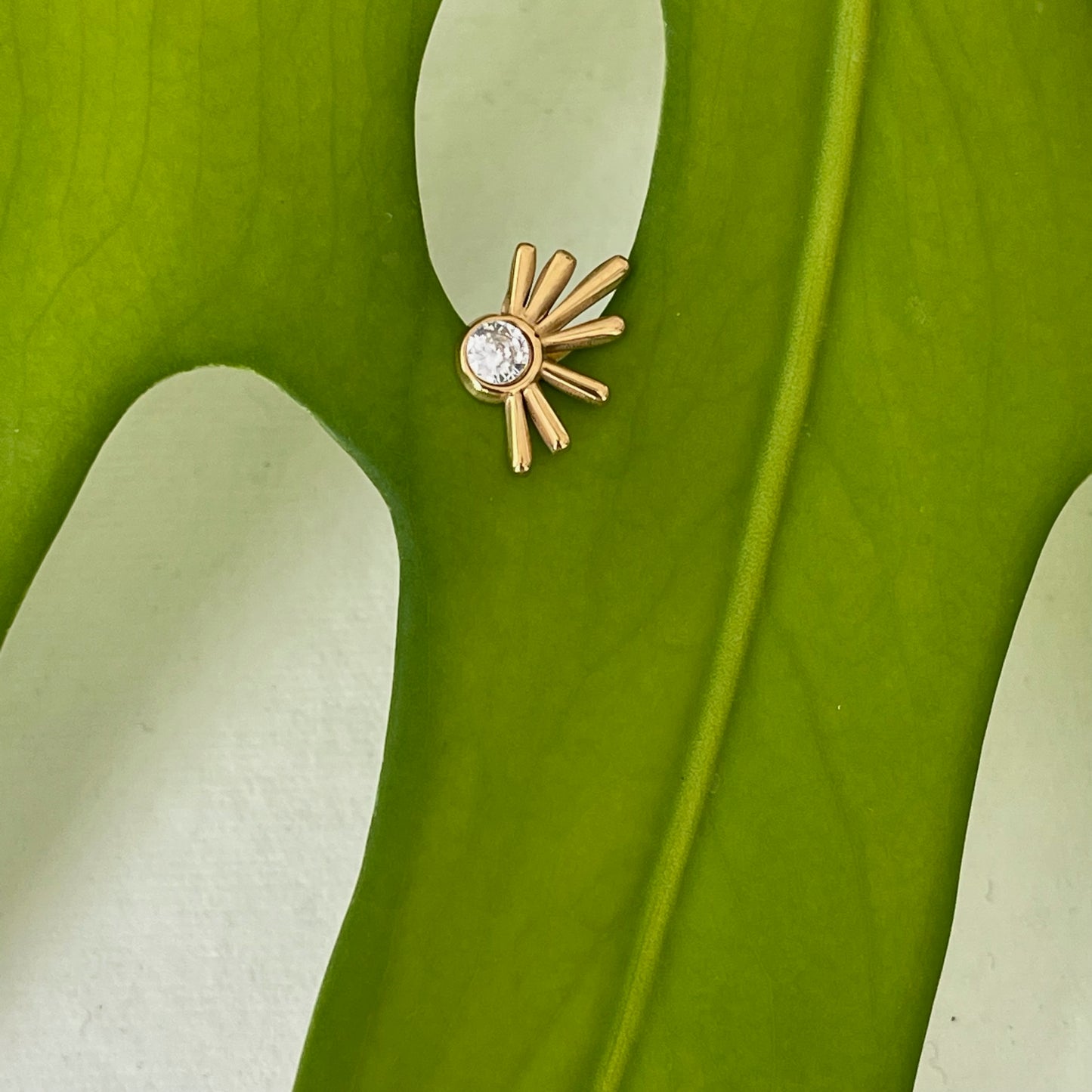 Wild Crystal Earring
